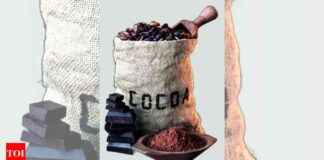 Cocoa Prices Surge on Production Concerns: Biggest Increase in 7 Months cocoa-prices-surge-on-production-concerns-biggest-ncrease-in-7-months