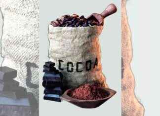 Cocoa Prices Surge on Production Concerns: Biggest Increase in 7 Months cocoa-prices-surge-on-production-concerns-biggest-ncrease-in-7-months