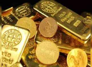 India Becomes Second Largest Gold Buyer in 2024: World Gold Council – Times of India ndia-becomes-second-largest-gold-buyer-in-2024-world-gold-council-times-of-ndia