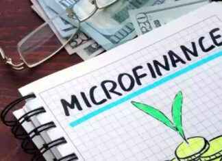 Indian Microfinance Sector: 2,100% Growth in 12 Years – Times of India ndian-microfinance-sector-2100-growth-in-12-years-times-of-ndia