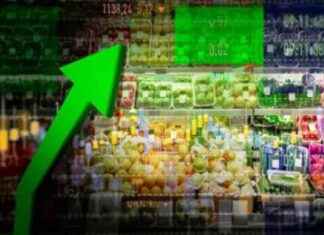 Inflation Concerns in FY26: Impact of Higher Raw Material Costs nflation-concerns-in-fy26-mpact-of-higher-raw-material-costs