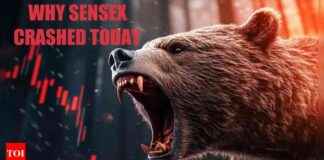 Reasons for BSE Sensex and Nifty50 Stock Market Crash Today: FII Selloff and HMPV Concerns reasons-for-bse-sensex-and-nifty50-stock-market-crash-today-f-selloff-and-hmpv-concerns
