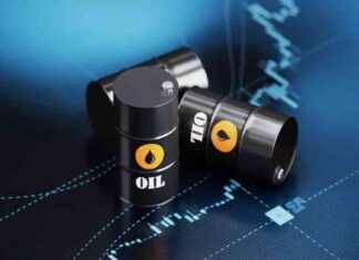 Developing India’s Resilient Supply Chain for Russian Oil developing-ndias-resilient-supply-chain-for-russian-oil