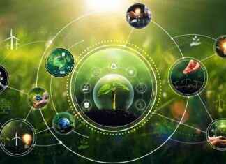 Juniper Green Energy secures $1B debt financing juniper-green-energy-secures-1b-debt-financing