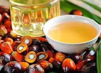 Rising Demand for Sunflower and Soyabean Oils in Indian Market rising-demand-for-sunflower-and-soyabean-oils-in-ndian-market