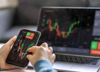 Top Stock Gainers and Losers on 20th Feb 2025 top-stock-gainers-and-losers-on-20th-feb-2025