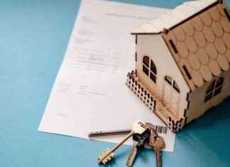 Understanding India’s Real Estate Market: Founder Explains High Prices understanding-ndias-real-estate-market-founder-explains-high-prices