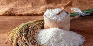 India Allows 100% Broken Rice Imports ndia-allows-100-broken-rice-mports
