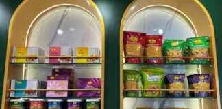 Temasek Invests in Haldiram Snacks: ₹8000 cr Deal temasek-nvests-in-haldiram-snacks-8000-cr-deal