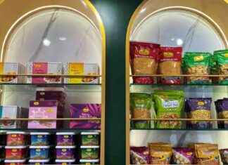 Temasek Invests in Haldiram Snacks: ₹8000 cr Deal temasek-nvests-in-haldiram-snacks-8000-cr-deal