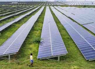 ACME Solar Holdings Q4 Net Profit Plunges by 77% to ₹122 cr acme-solar-holdings-q4-net-profit-plunges-by-77-to-122-cr