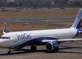 IndiGo stock jumps 10%; assessing the strength of this surge ndigo-stock-jumps-10-assessing-the-strength-of-this-surge