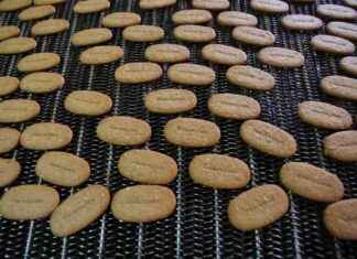 New Title: Biscuit Manufacturing Facility Established in Hyderabad new-title-biscuit-manufacturing-facility-established-in-hyderabad