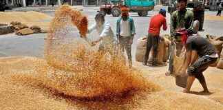 Successful Wheat Procurement by Indian FPOs: A Yearly Review successful-wheat-procurement-by-ndian-fpos-a-yearly-review